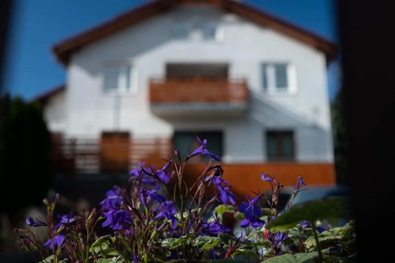 פיצ'ובויצה Apartamenty Karkonosze Gory Izerskie מראה חיצוני תמונה